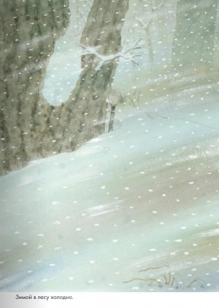 14 лесных мышей. Зимний день фото книги 4