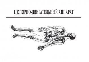 Анатомия человека. Полный компактный атлас фото книги 6