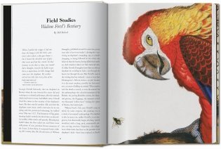 Walton Ford. 40th Ed. фото книги 3