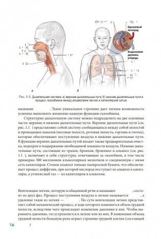 Анатомия пилатеса. Иллюстрированное руководство. Новая редакция фото книги 3