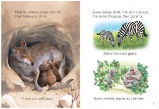 Baby Animals фото книги 3