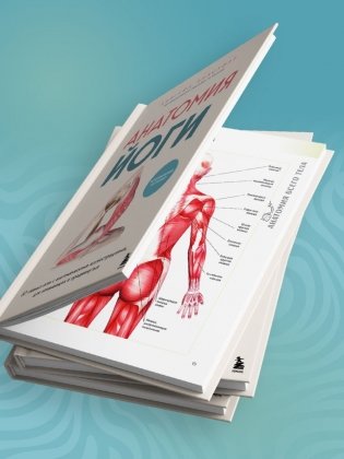 Анатомия йоги. 50 главных асан с анатомическими иллюстрациями, для начинающих и продвинутых фото книги 6