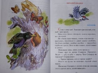 Сказки из леса фото книги 3