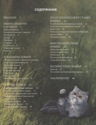 Энциклопедия. Кошки фото книги 2