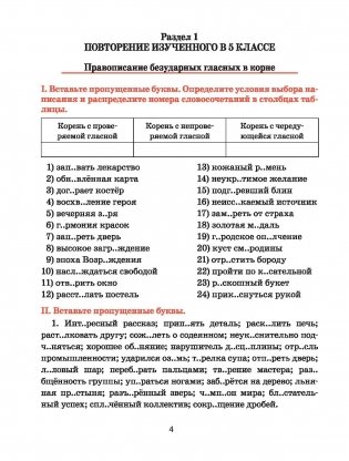 Русский язык. Тренажёр по орфографии и пунктуации. 6 класс фото книги 3