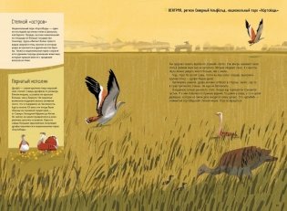 Степи, прерии, пампасы. Один год жизни исчезающего биома фото книги 5