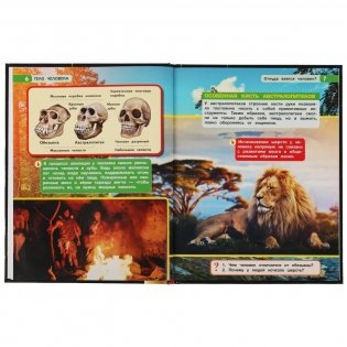 Тело человека. Энциклопедия с развивающими заданиями фото книги 4