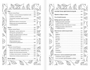 Секреты зеленой ведьмы. Фамильяры, магия стихий, растений и камней фото книги 4