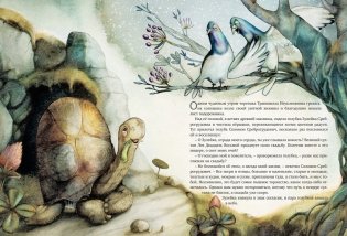 Транквилла Неуклюжевна, или Сказка о черепахе, которая приняла твёрдое решение фото книги 2