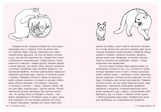 Гладить! Кормить! Любить! Замурчательное пособие по счастливой жизни с кошкой фото книги 8