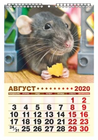Календарь настенный перекидной "Год крысы" на 2020 год фото книги 2