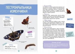 Лесные животные фото книги 6