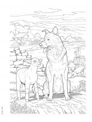 Creative Haven the Dog Lovers' Coloring Book фото книги 5
