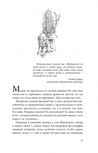 Волшебное лето во Франции. Замки, фиалки и вишневый пирог фото книги 14