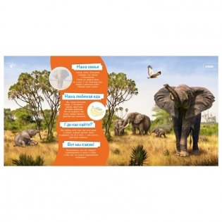 Энциклопедия для самых маленьких "Познакомимся поближе! Животные Африки" фото книги 3