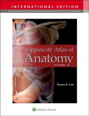 Lippincott Atlas of Anatomy фото книги
