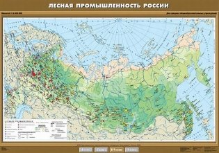 Лесная промышленность России. Плакат фото книги