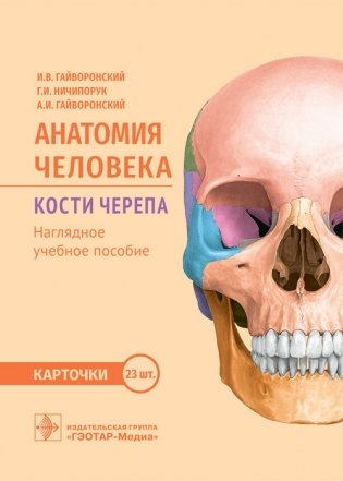 Анатомия человека. Кости черепа (23 карточки) фото книги