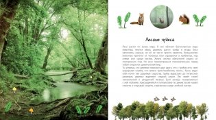 Таинственный лес и его обитатели фото книги 2