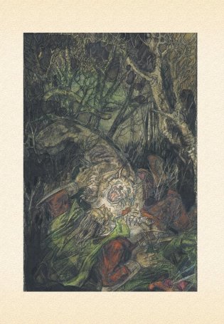 Дикая охота короля Стаха фото книги 4