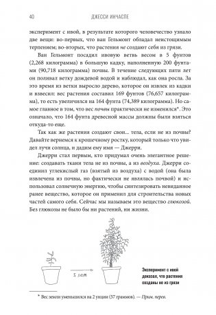 Богиня глюкозы: нормализуйте уровень сахара в крови, чтобы изменить свою жизнь фото книги 14