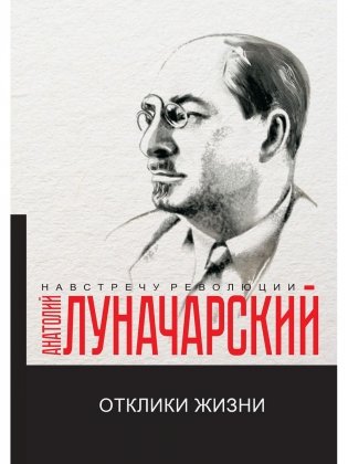 Отклики жизни фото книги