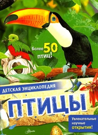 Птицы фото книги