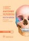 Анатомия человека. Кости черепа (23 карточки) фото книги маленькое 2