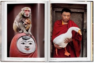 Steve McCurry. Animals фото книги 9