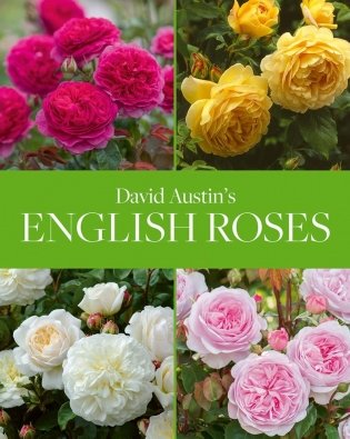 David Austin's English Roses фото книги