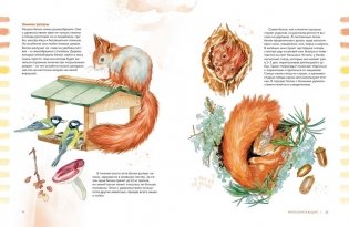 Животные в городе. Где найти и как узнать фото книги 2