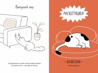 Кот всему голова. Кошачьи мудрости для жизни без стресса фото книги 4