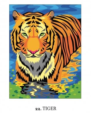 Mystery Coloring Wild Animals фото книги 8