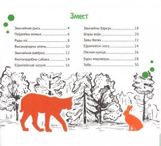Беларускі лес фото книги 2