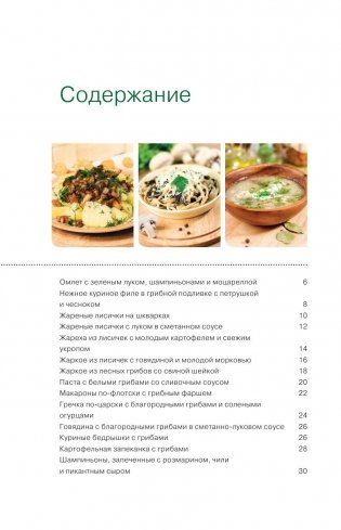 Блюда из грибов в мультиварке фото книги 5