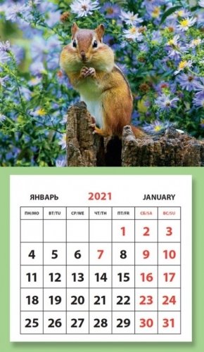 Календарь на 2021 год "Суслик" (КР33-21037) фото книги