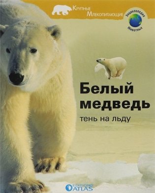 Белый медведь. Тень на льду фото книги