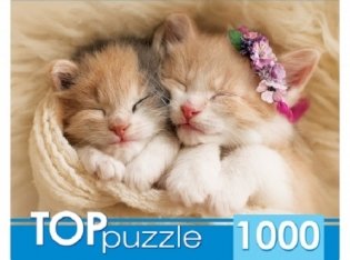 Пазлы "Toppuzzle. Два спящих котенка", 1000 элементов фото книги