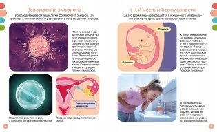 Как устроено тело человека фото книги 8