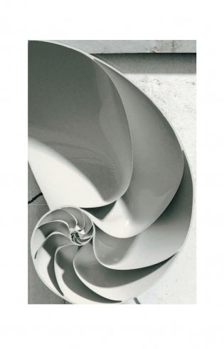 Высший замысел фото книги 7