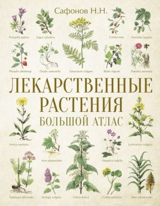 Лекарственные растения. Большой атлас фото книги