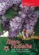 День Победы: учебно-методическое пособие для баянистов и аккордеонистов фото книги маленькое 2