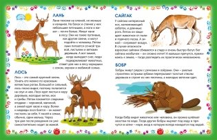 Животные и птицы. Энциклопедия для малышей фото книги 3