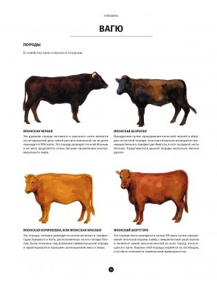 Мясо. Полное иллюстрированное руководство фото книги 11