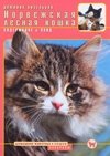 Норвежская лесная кошка фото книги