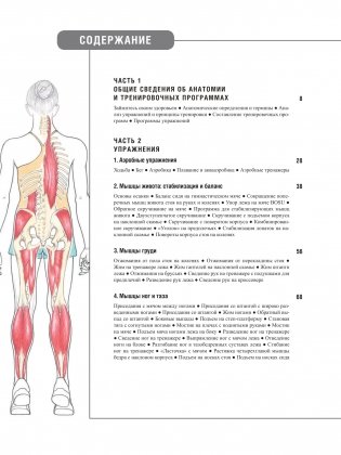 Анатомия фитнеса и силовых упражнений для женщин фото книги 3