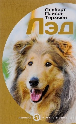 Лэд фото книги