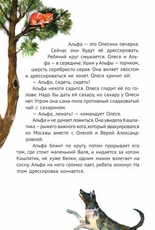 Сосны шумят фото книги 7