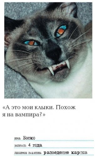 Осторожно, вредная кошка фото книги 5
