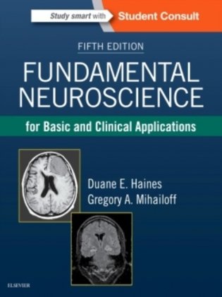 Fundamental Neuroscience for Basic and Clinical Applications фото книги